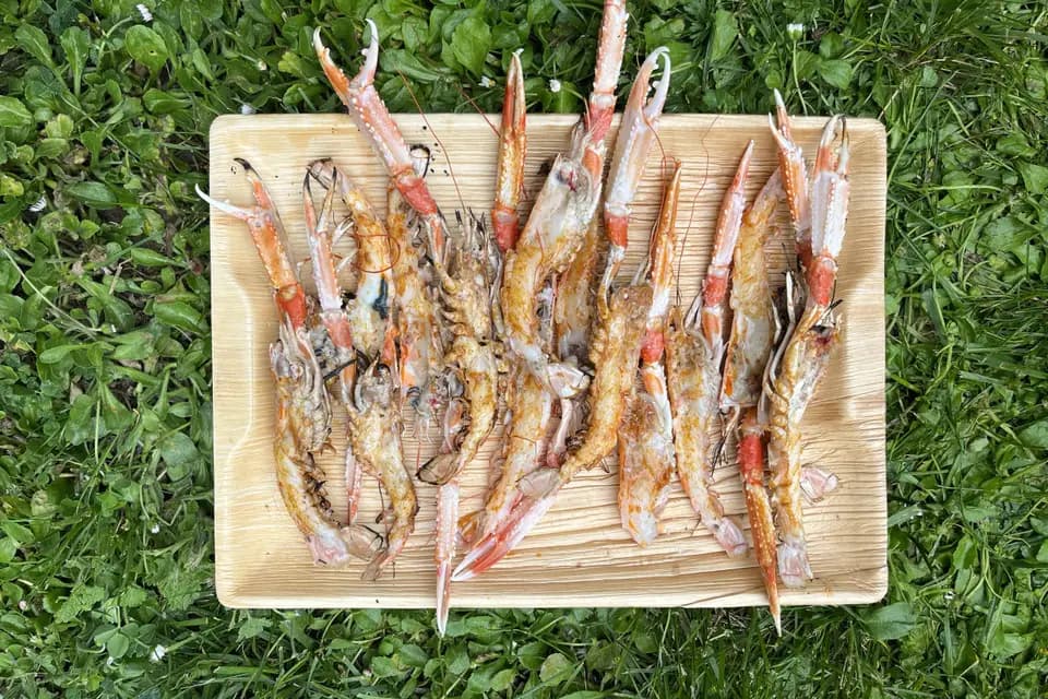 Eat Machine — photo 6