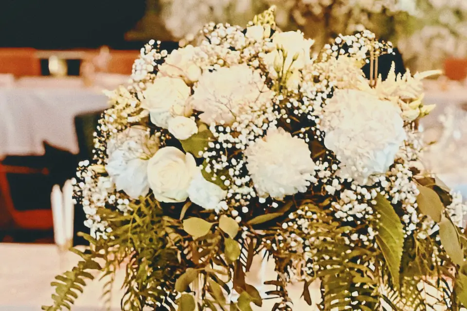 Les Jardins du Tesan — photo 2