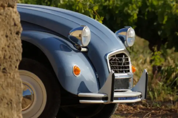 Loca2cv — photo 1