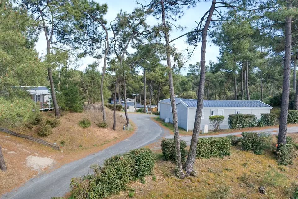 Le Domaine des Pins — photo 1