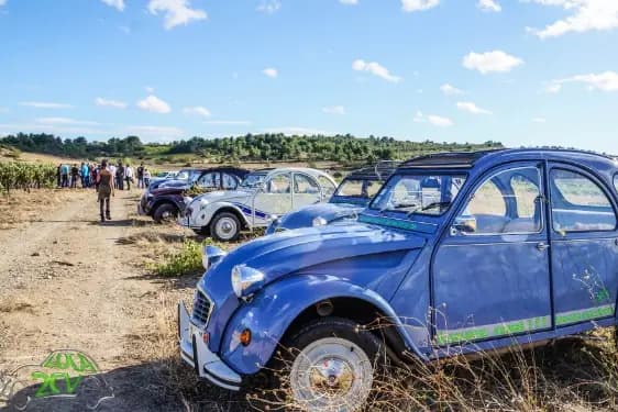 Loca2cv — photo 5
