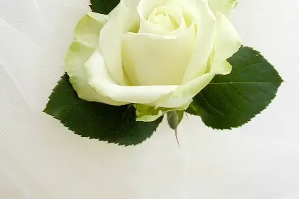 L'Atelier Constance G — photo 3