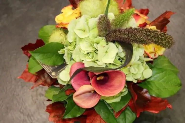 Gilles Sonnet fleuriste — photo 3