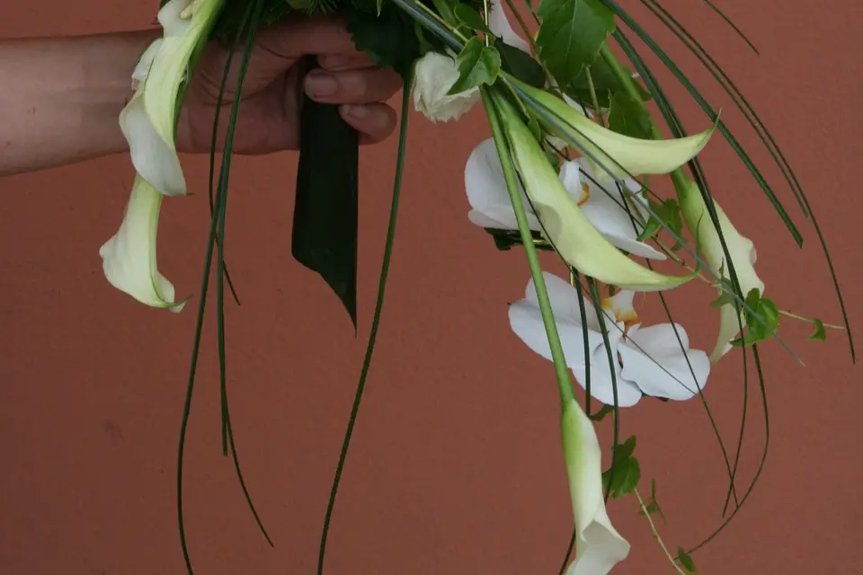 Gilles Sonnet fleuriste — photo 7