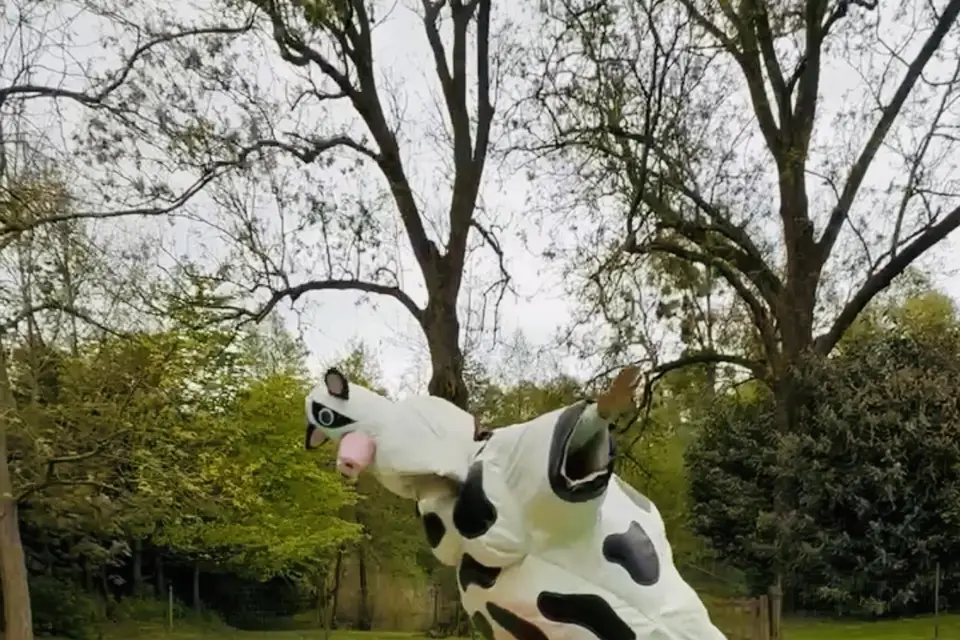 Meghane Lemire — photo 6