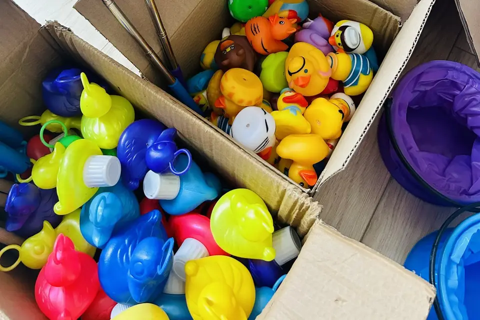 Meghane Lemire — photo 8