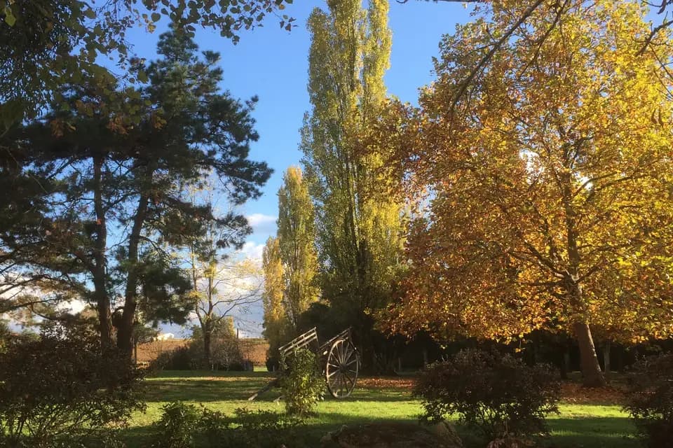 Domaine de Ségur — photo 7