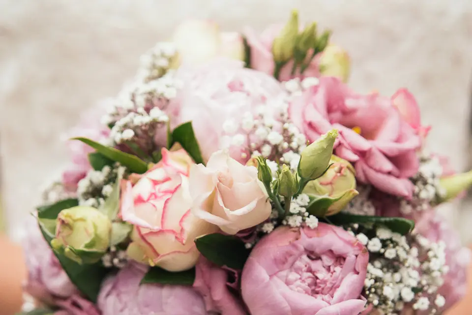 LC Vision — photo 7