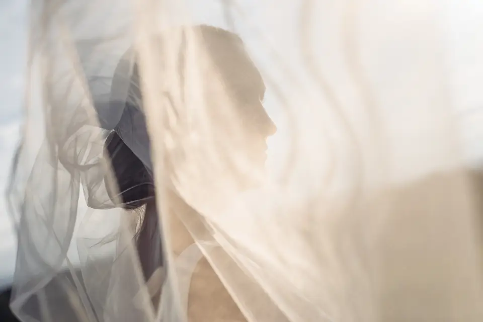 LC Vision — photo 6