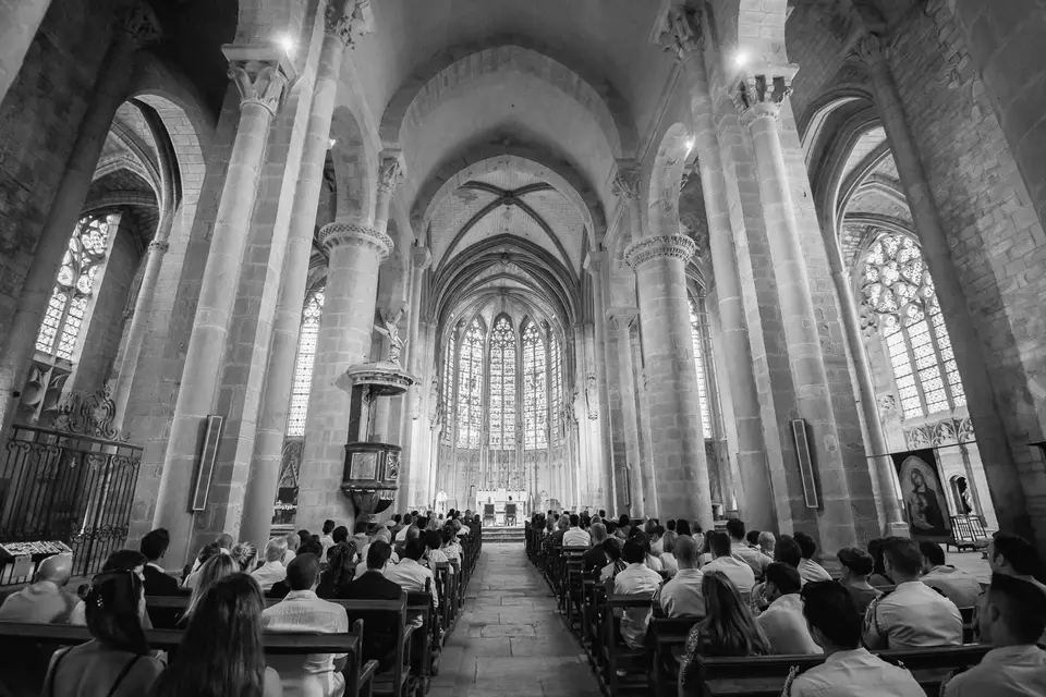 LC Vision — photo 4