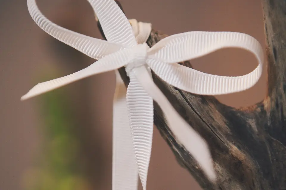 ECP Événement — photo 3