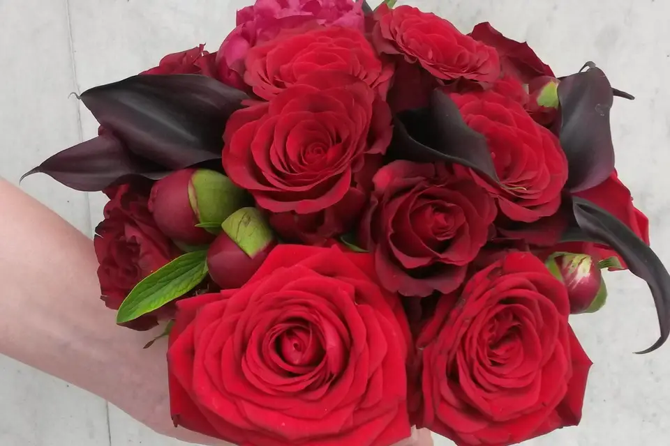 Paris Fleurs Roubaix — photo 2