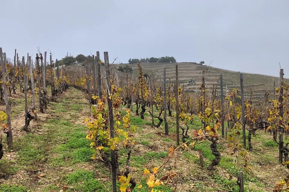 Une Soirée un Sommelier — photo 5