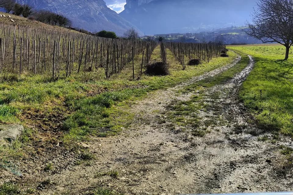 Une Soirée un Sommelier — photo 4