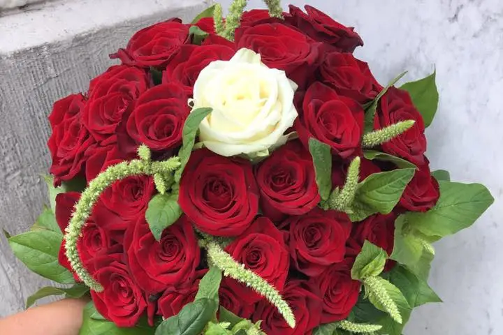 Paris Fleurs Roubaix — photo 5