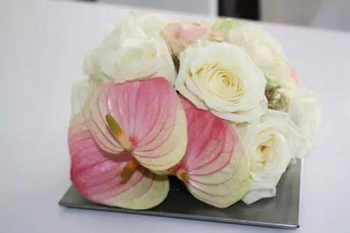 One more dream — photo 2