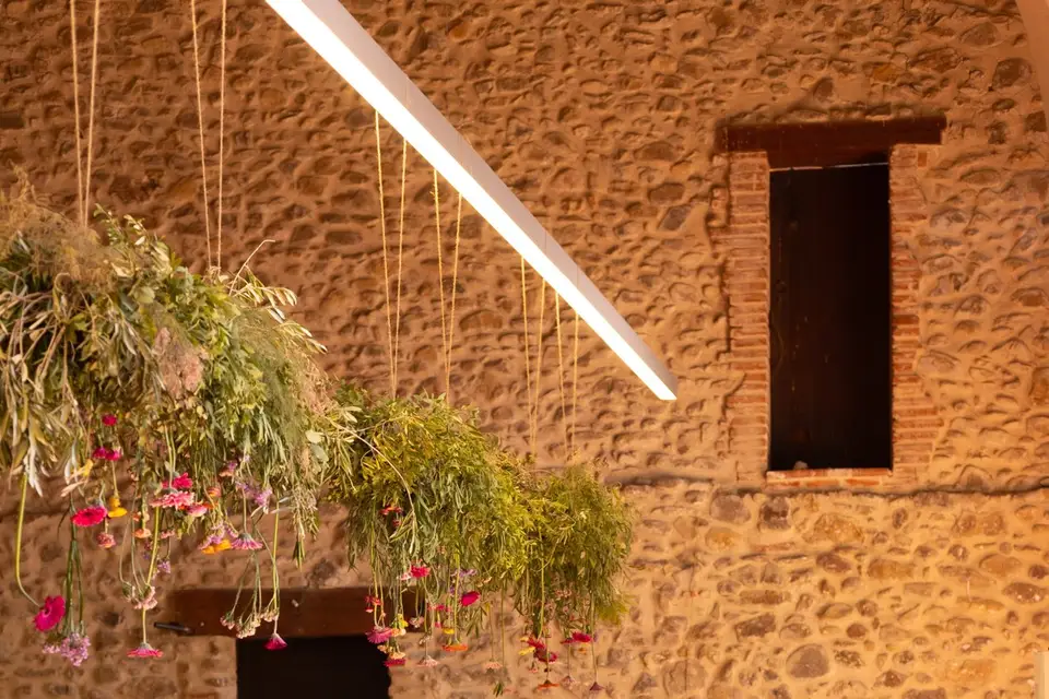 L'hellébore — photo 6