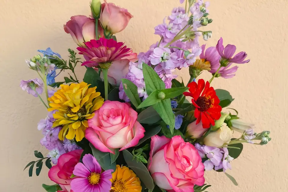 L'hellébore — photo 8