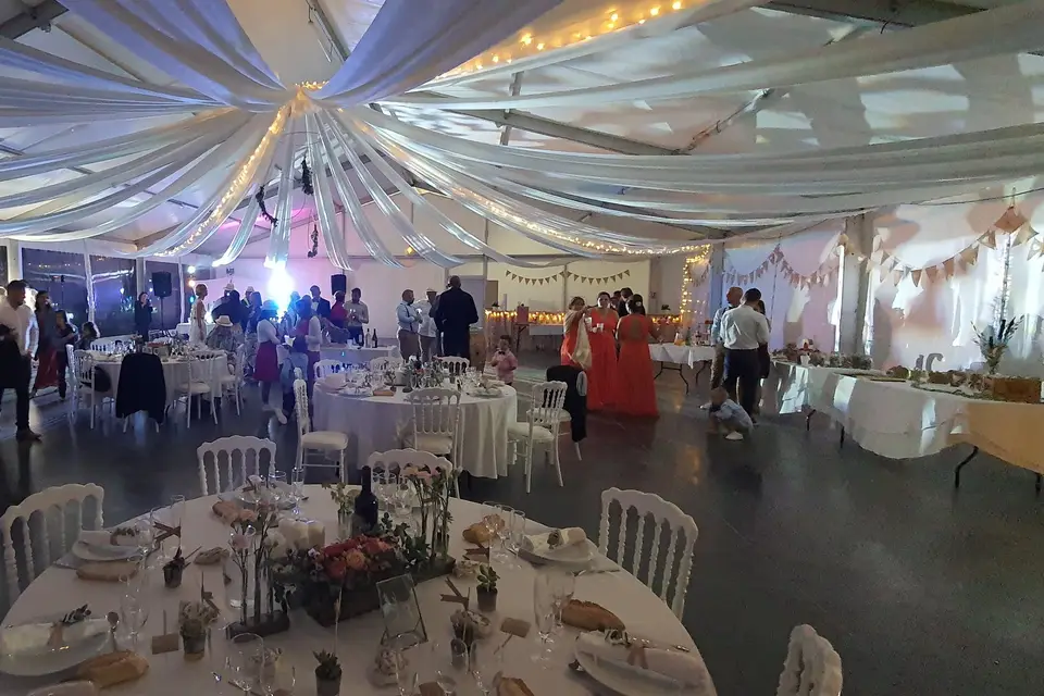 DJ Rapha Discomobile — photo 6