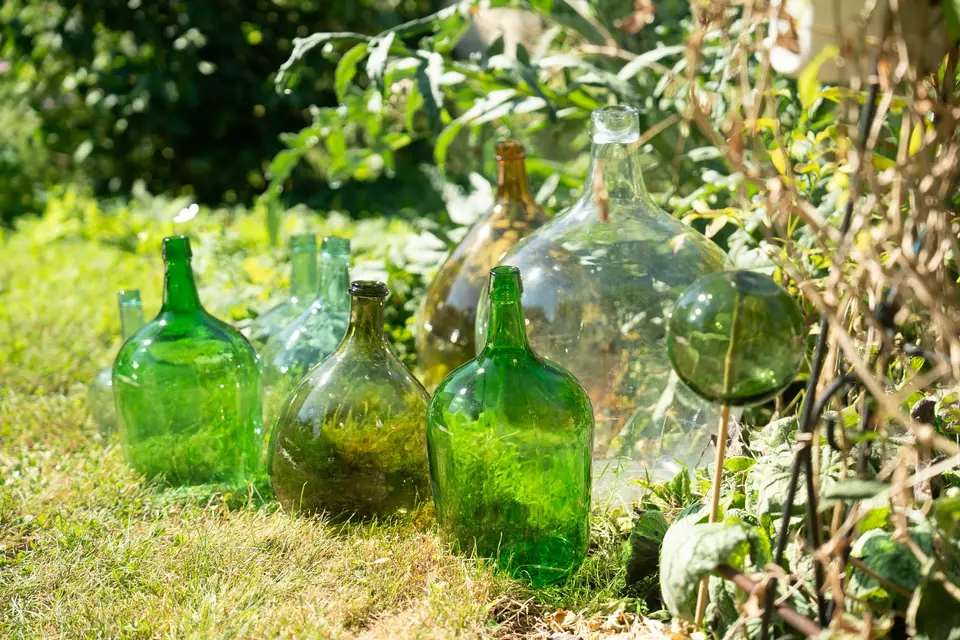 Les Jolies Désuètes — photo 4