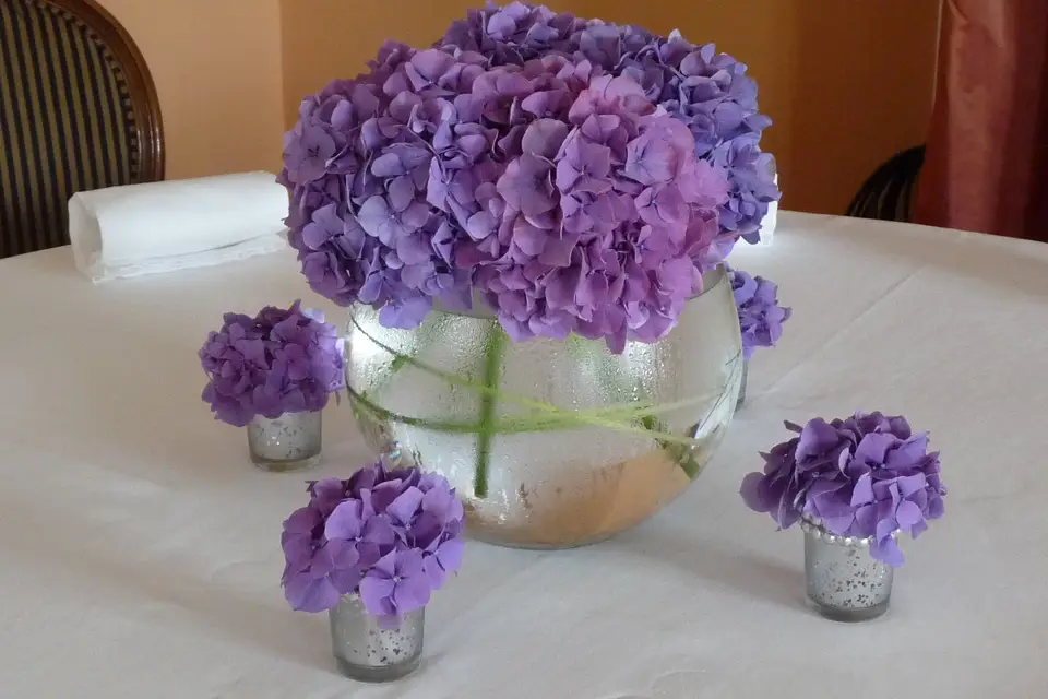 Comme une fleur — photo 6