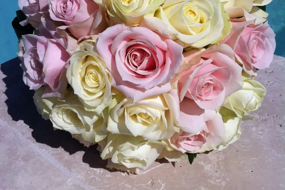 Comme une fleur — photo 8