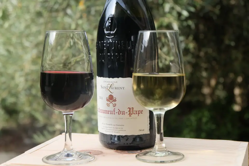 Domaine Saint Laurent — photo 2