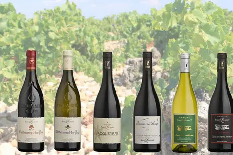 Domaine Saint Laurent — photo 1