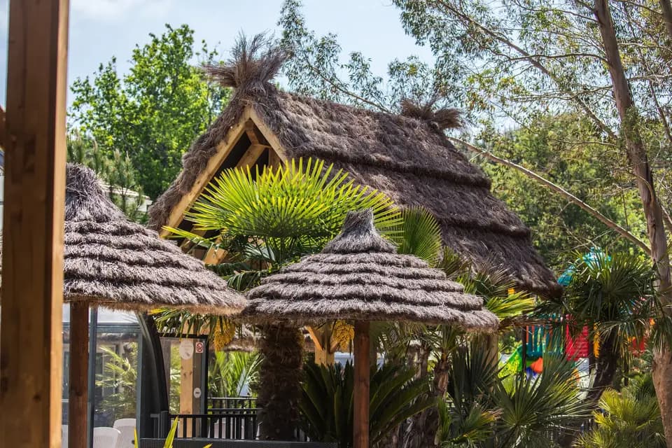 Salle Lyro - Camping Le Paradis — photo 6