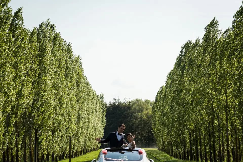 Transfer airport — photo 4