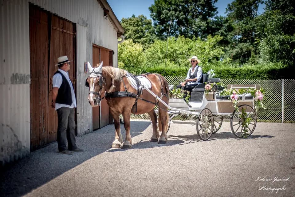 Julie Caleche — photo 6