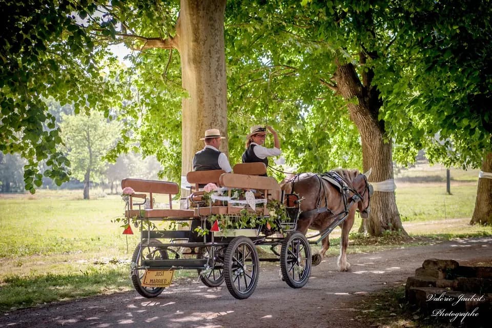 Julie Caleche — photo 3