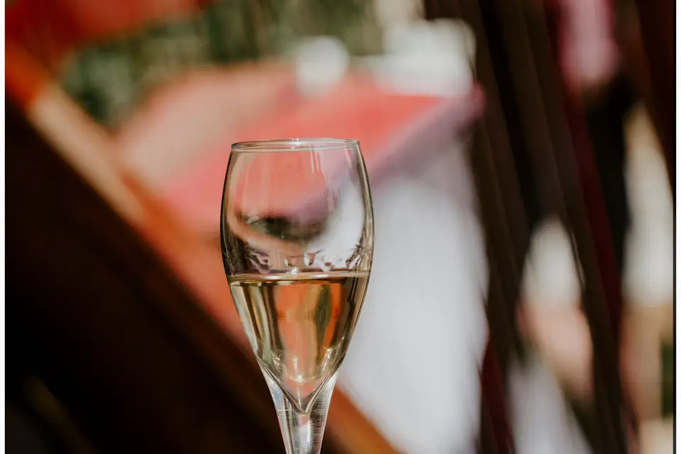 Objectif Vin — photo 5