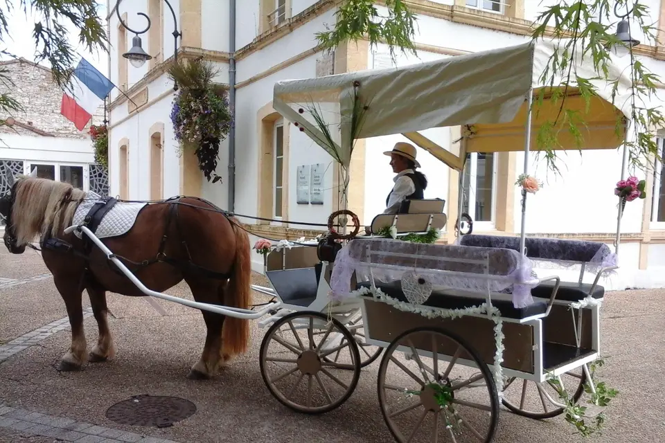 Julie Caleche — photo 2