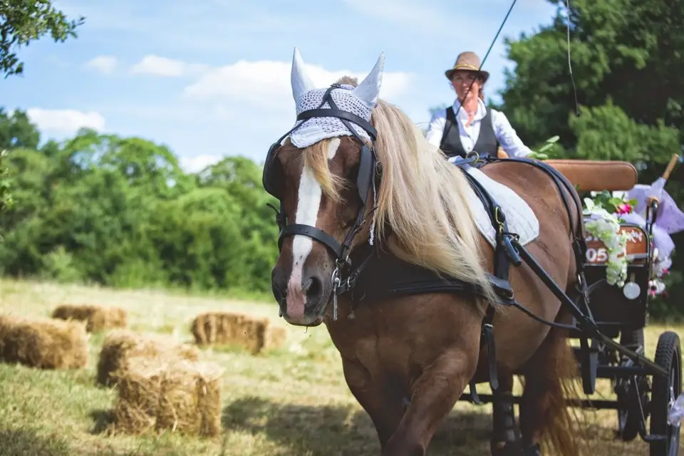 Julie Caleche — photo 1