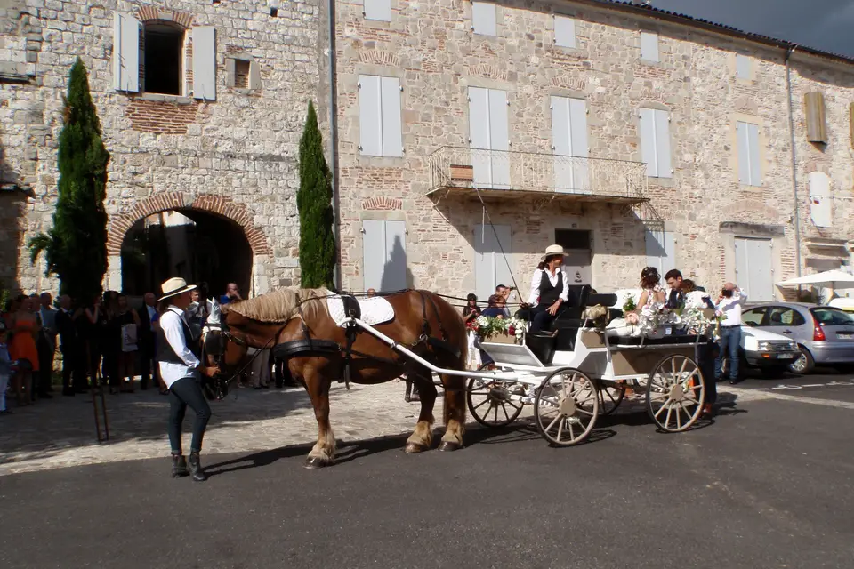 Julie Caleche — photo 4