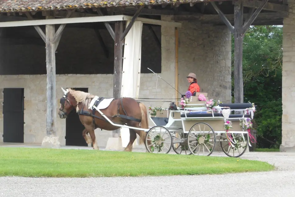 Julie Caleche — photo 5