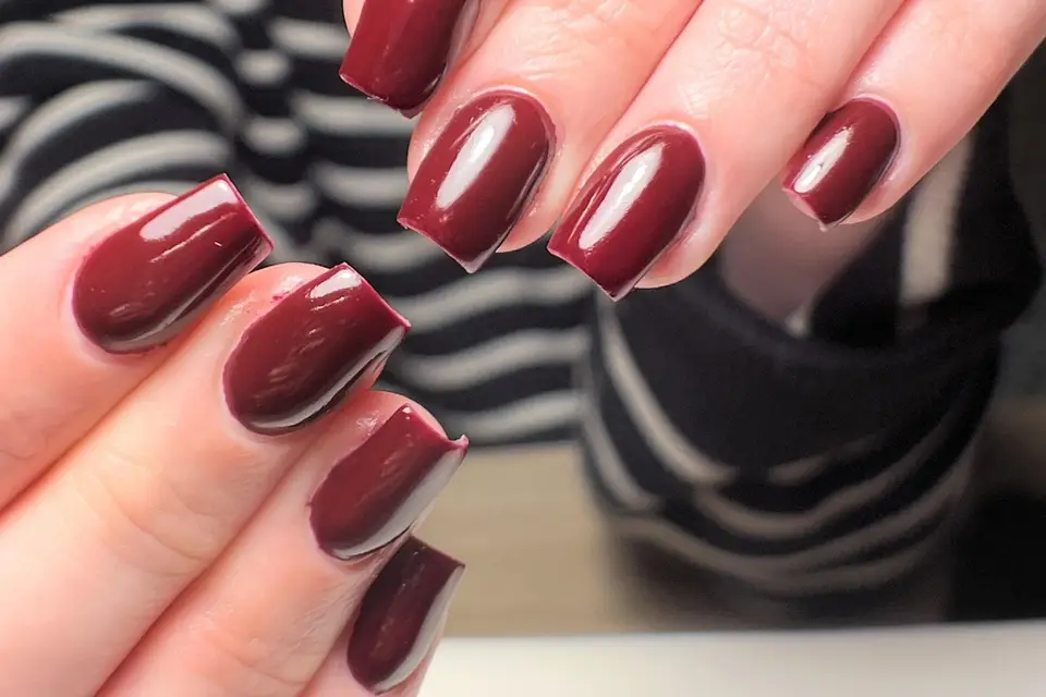 Atelier Carlita — photo 7