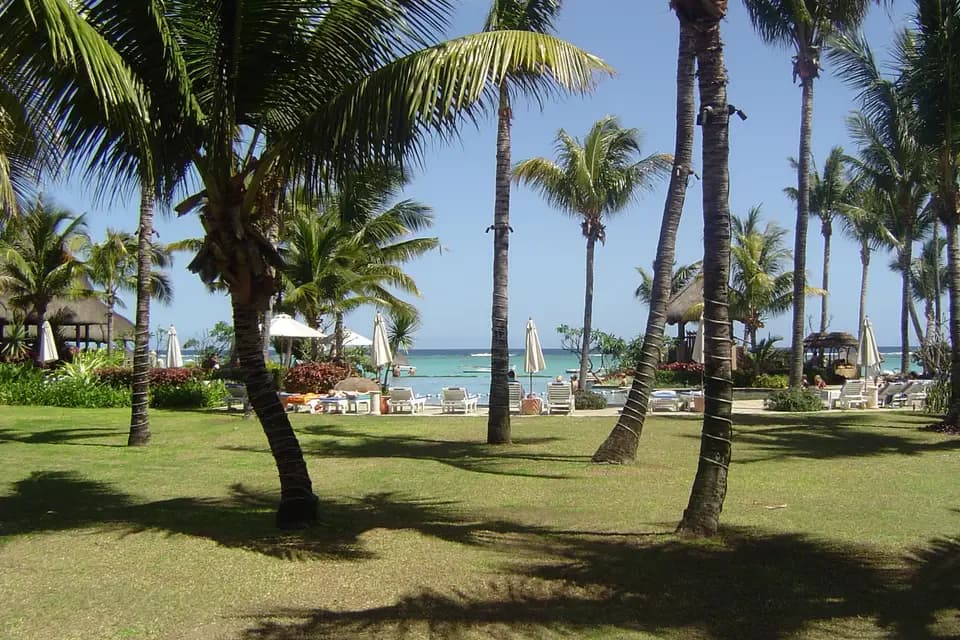 Les Voyages d'Emilie — photo 4