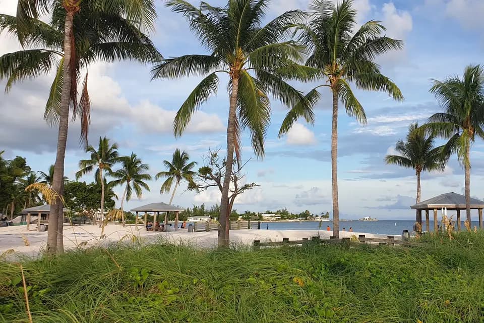 Les Voyages d'Emilie — photo 7