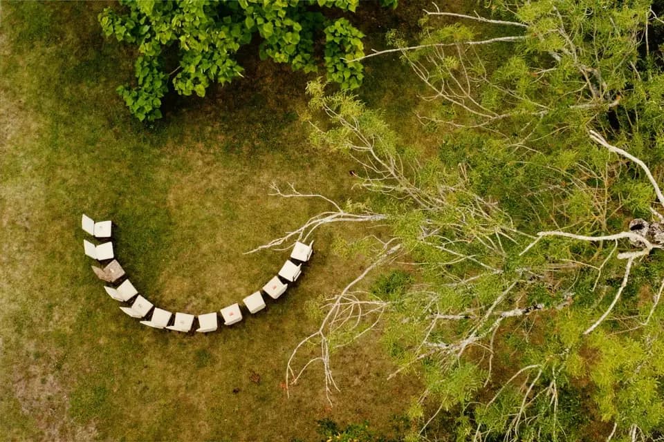 Lime - Life in Motion Entertainement — photo 2