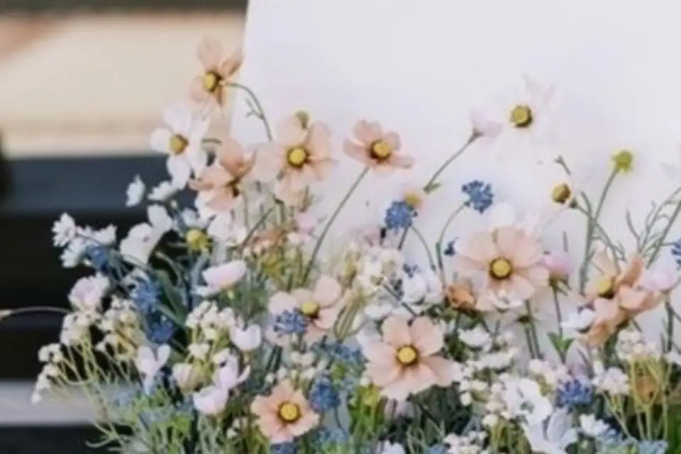 Atelier Villae — photo 7