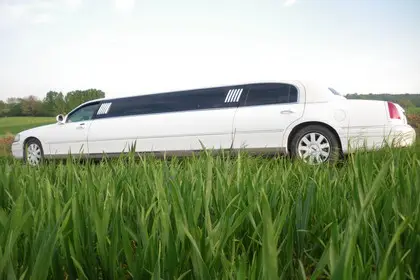4 As Limousine — photo 2