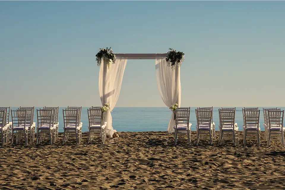 It's a Celebration — photo 5