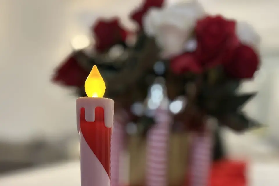 Mister Events — photo 8