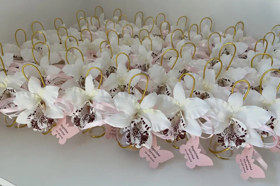 Ambiance Dragées — photo 7