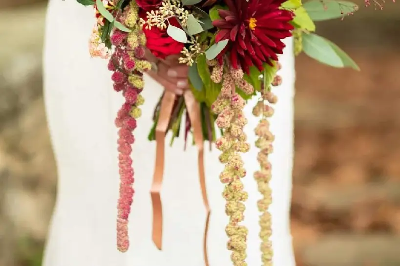 Les Fleurs d'Elia — photo 9