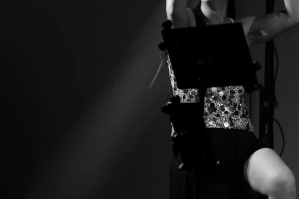 Arya Musica — photo 5