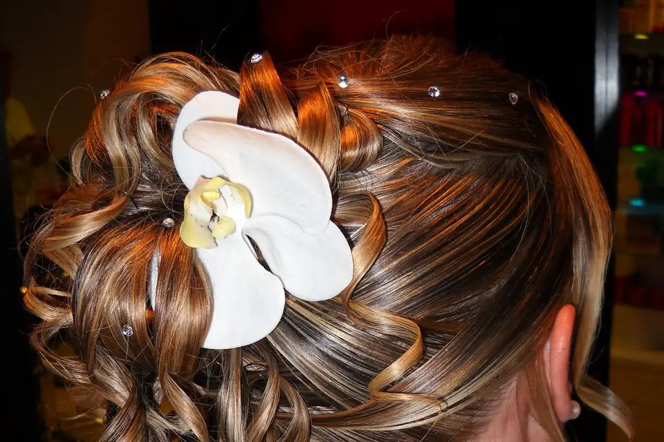 Pigments Purs — photo 3