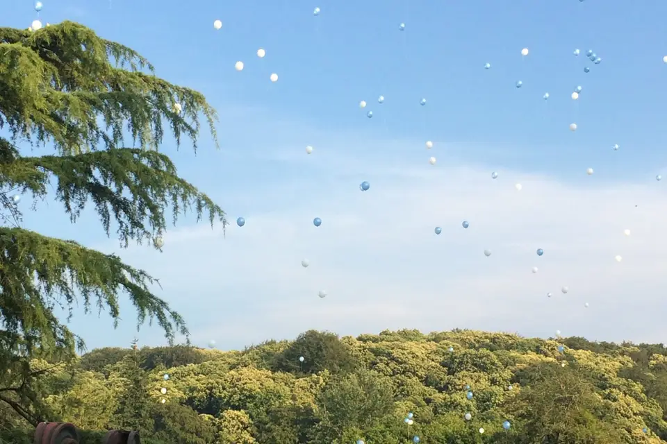 Château de Miniac — photo 7